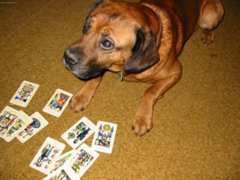 Foto: J� ti vylo��m tv�j osud