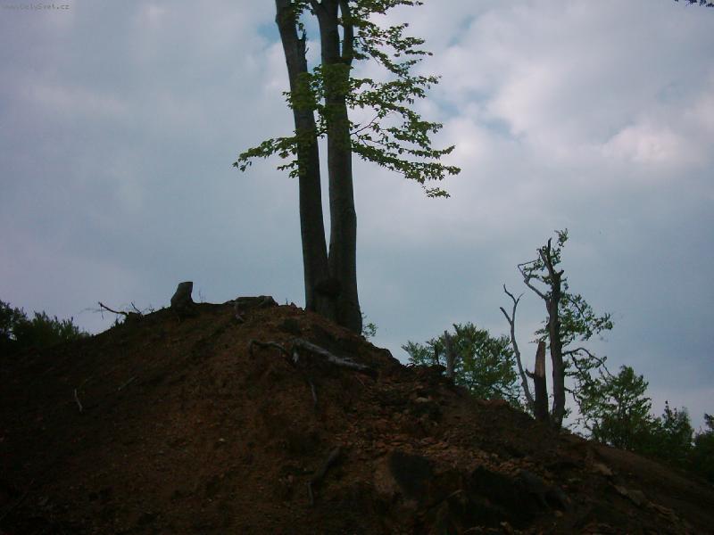 Foto: okol� Jeze��