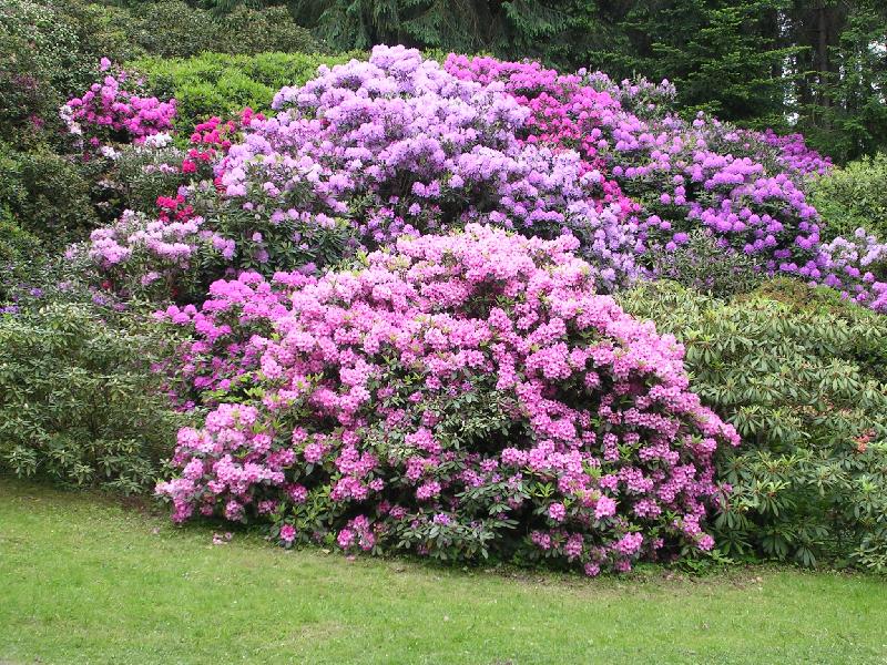 Foto: Barevn� jaro