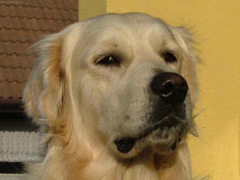 Foto: Kdy u� bude ve�e�e?