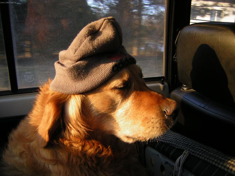 Foto: Nesn��m rann� �ichty!