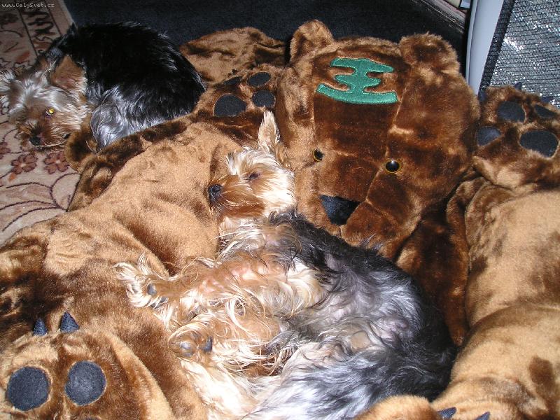 Foto: N� hrab�-neru�it ,haj�m