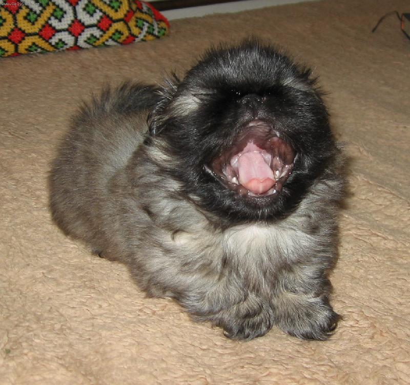 Foto: BRYAN - �est t�dn�-nechte m� sp�����t