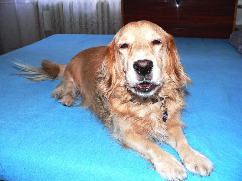 Foto: N� mil��ek Ferda-Panasonic FZ20