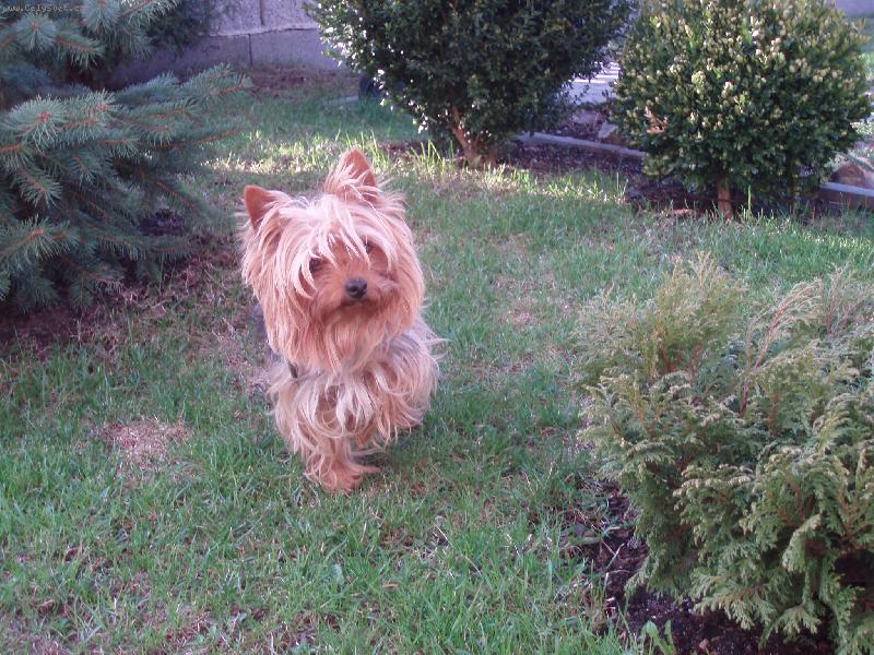 Foto: Samanta-na zahrad�