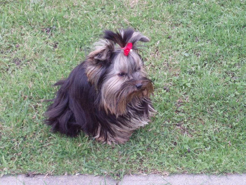 Foto: Baru�ka-na zahrad�