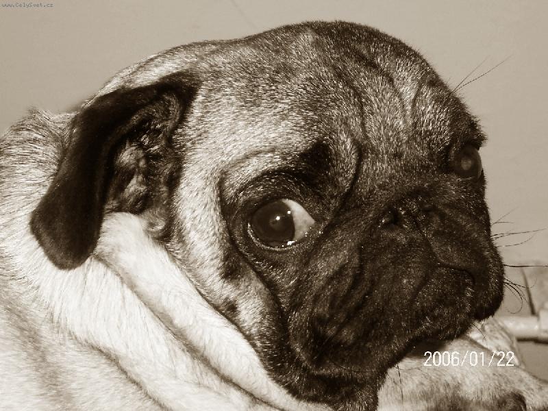 Foto: Eddy-Eddy zbl�zka