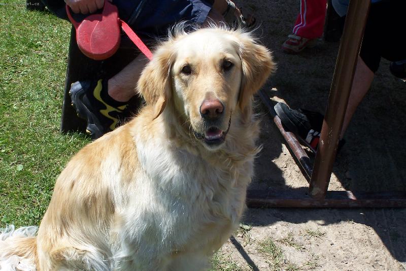 Foto: S�ra-pozor vylet� pt��ek