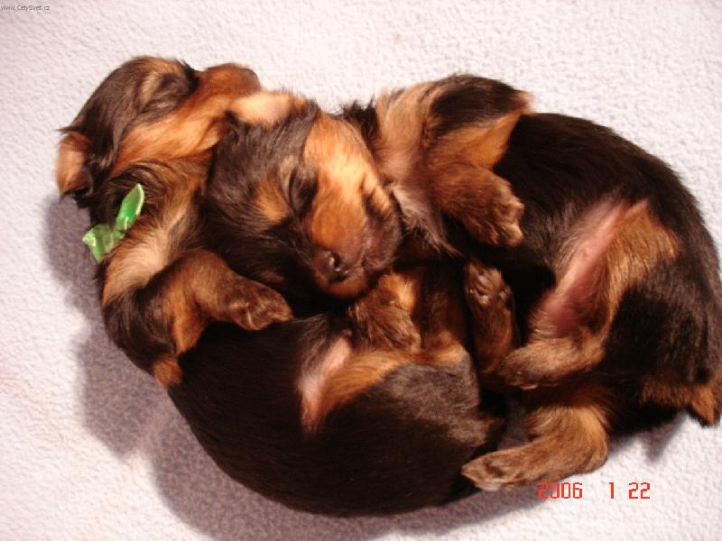 Foto: Vst�vej, u� ti kru�� v b�i�e!