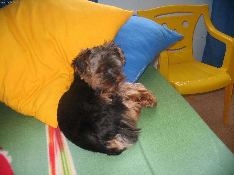 Foto: Filip 05-Pro� m� bud�??