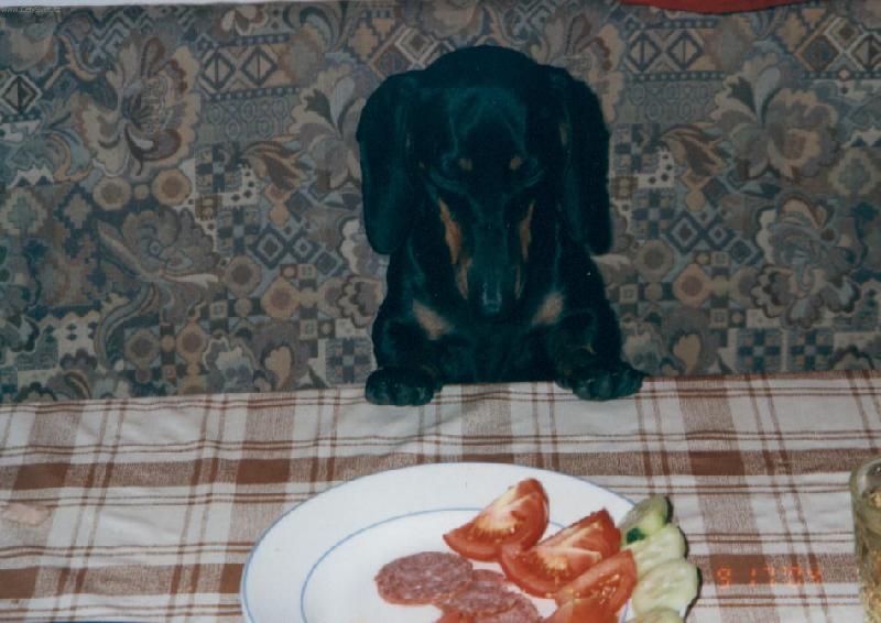 Foto: mnam ve�e�e