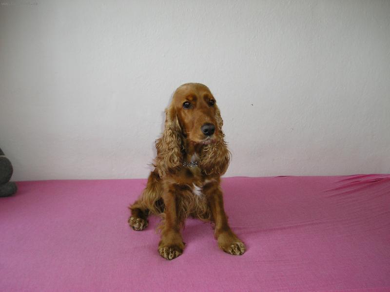 Foto: Tak si tu sedim-Lady