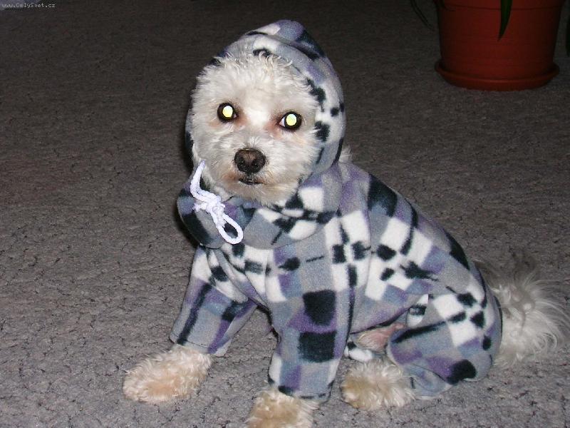 Foto: Na zimu jsem ��dn� vybaven.......