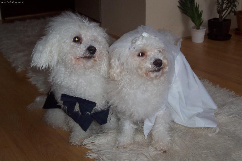 Foto: svatba-a u� jsme v tom