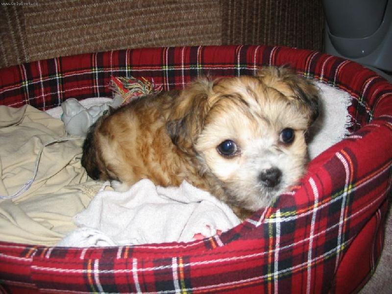 Foto: Akim-Sem malej ,ale �ikovnej