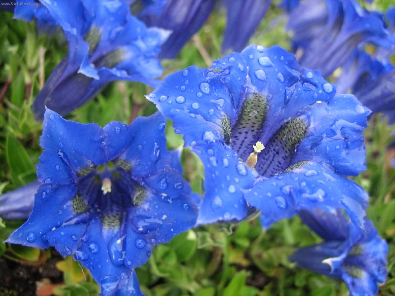 Foto: Modr� je dobr�...