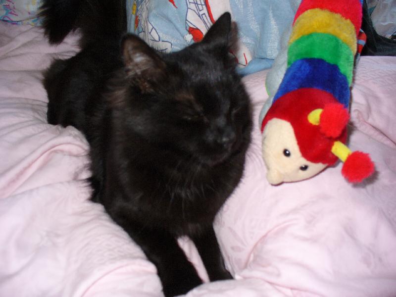 Foto: Mik���ek 1-...neboj budu t� hl�dat