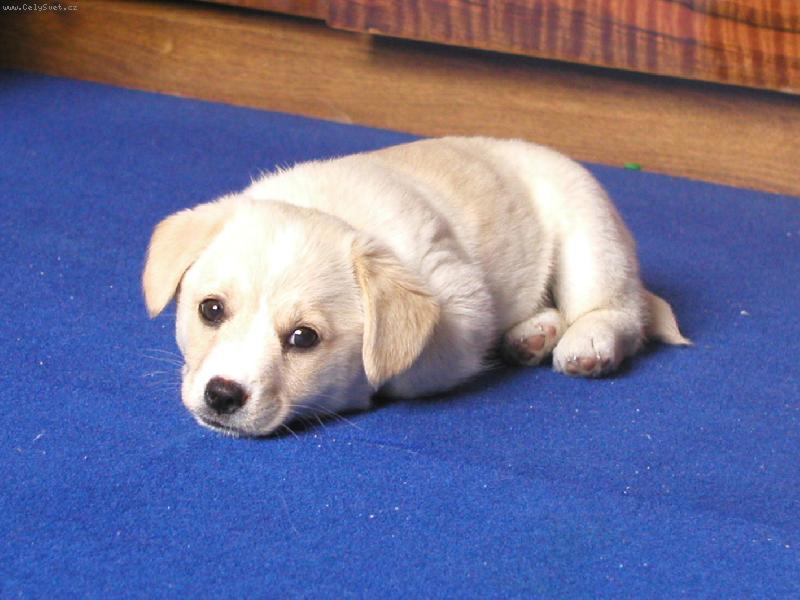 Foto: Chiquitka-ospal�