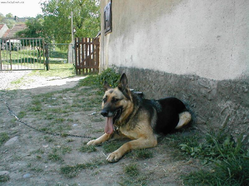 Foto: PozoR!!!!!!-HAffffff