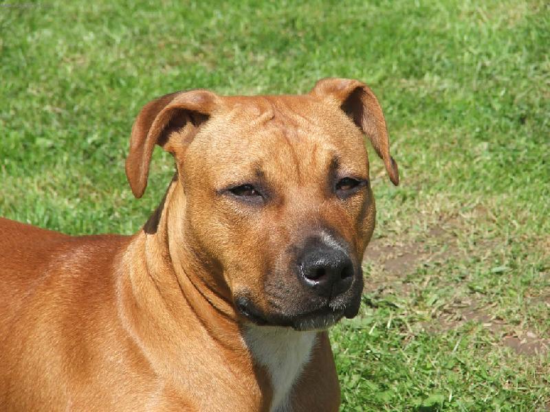 Foto: Spaik-v�echno vidim