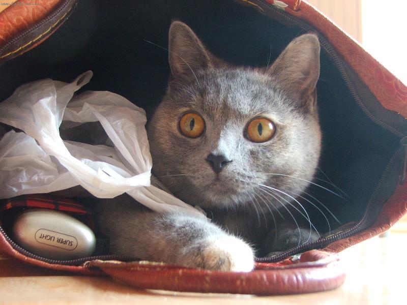 Foto: V�ude dob�e, v ta�ce nejl�p :)