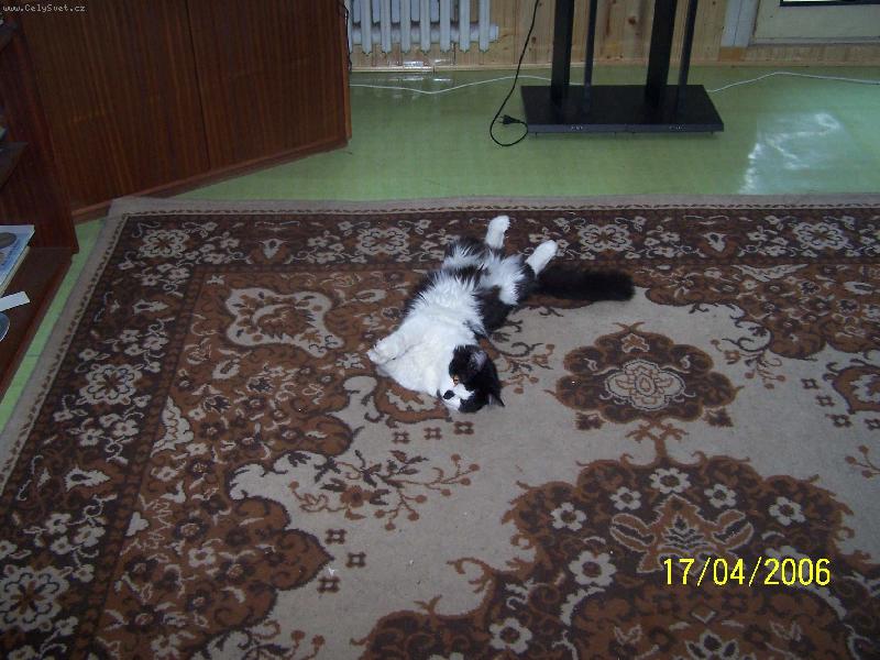 Foto: Nechte m� sp�t... pros�m ...