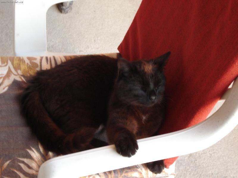 Foto: Gregorek-odpo�inek po ve�e�i