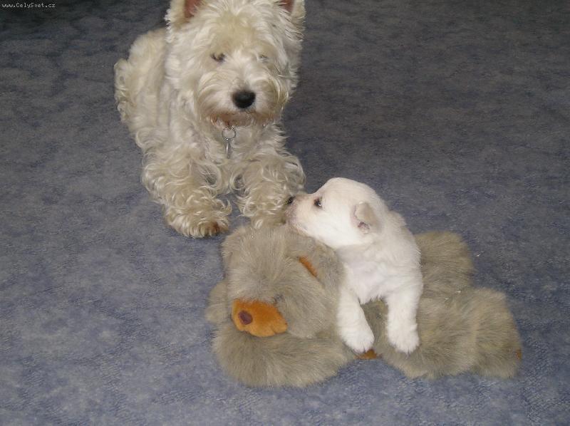 Foto: West�k-mami, to je taky br�ka?