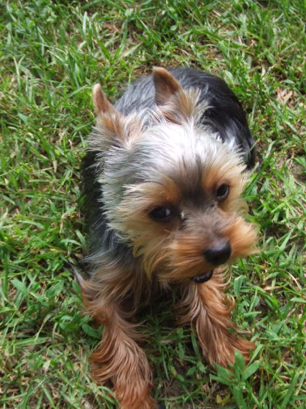 Foto: N� mazl��ek :)-Chce se mi sp���t....