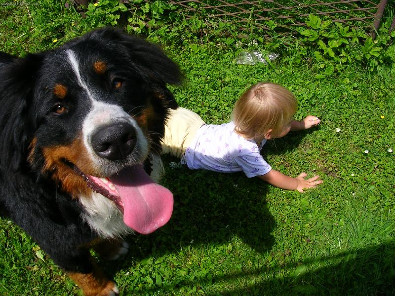 Foto: Max�k s Hani�kou