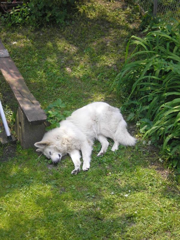 Foto: Jon�ek-Mrtvolka