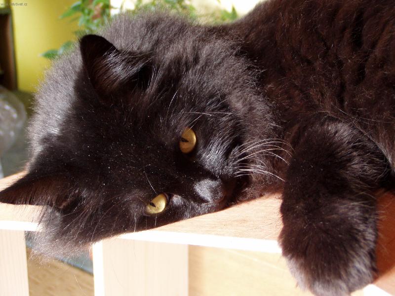 Foto: Mat�sek-odpo�inek