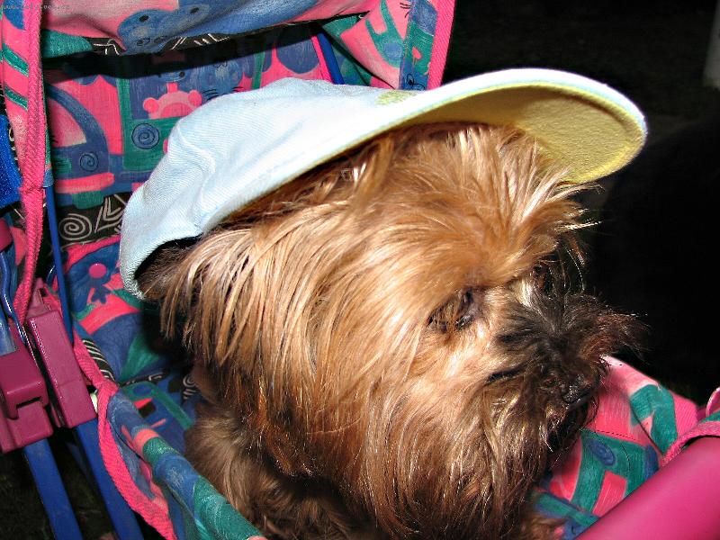 Foto: TAKY JE V�M TAKOV� VEDRO ?