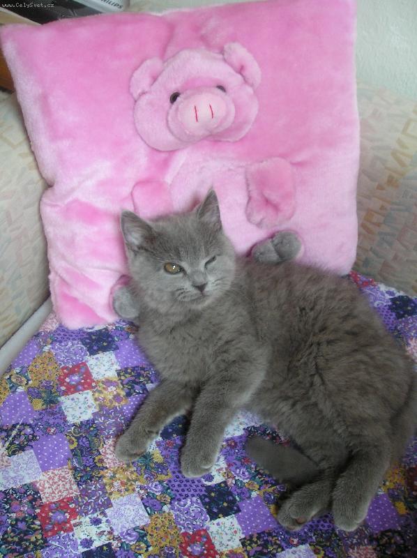 Foto: Fanda-chrrrrrr....