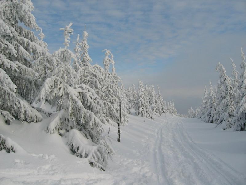 Foto: ASPO� JEDEN DEN NA B̎K�CH, CO ��K�TE ...-Krkono�e