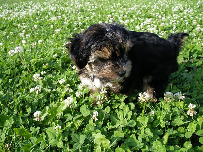 Foto: Benny-poprv� venku....