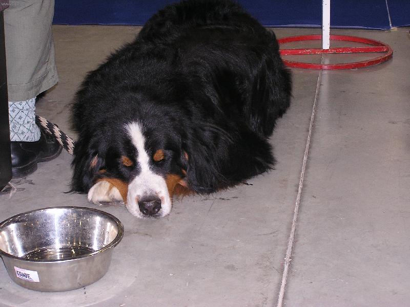 Foto: Sp�c� ber��k