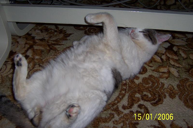 Foto: Mac�k-pohod��