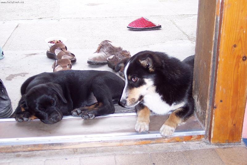 Foto: Denynka a Ad�lka