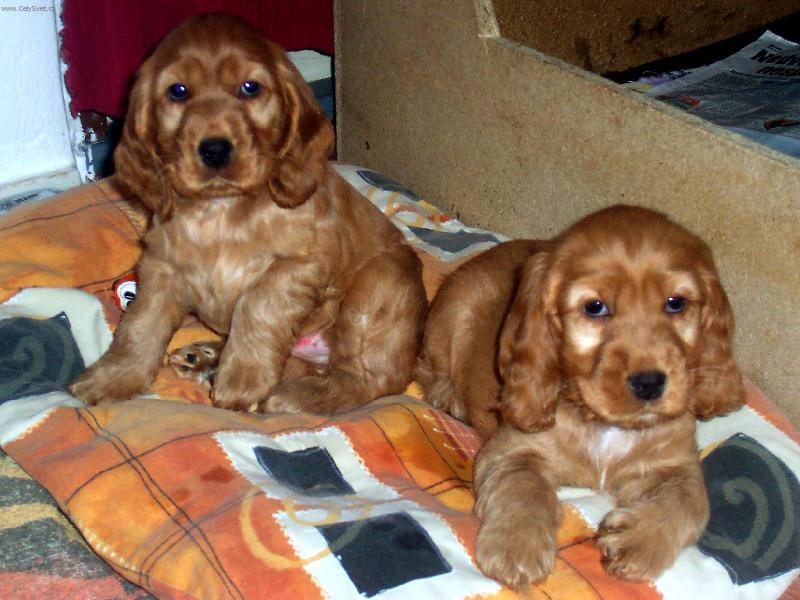 Foto: Na�e hol�i�ka!-R�da si lebed�m..