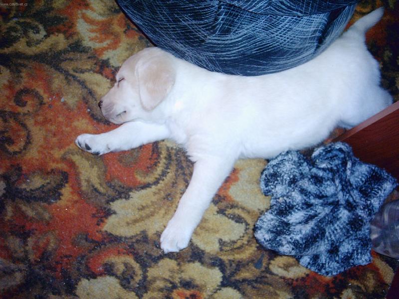 Foto: jak dlouh�,tak �irok�...