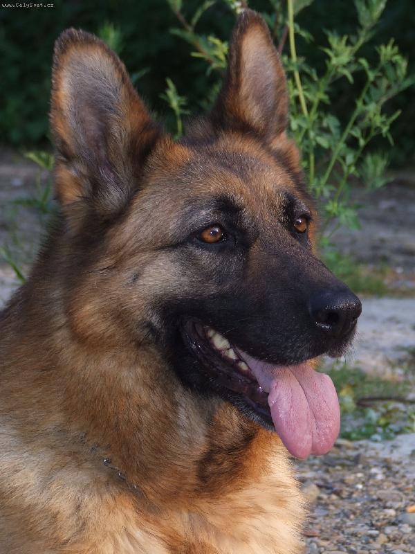 Foto: prtr�t-Jeny Maserau