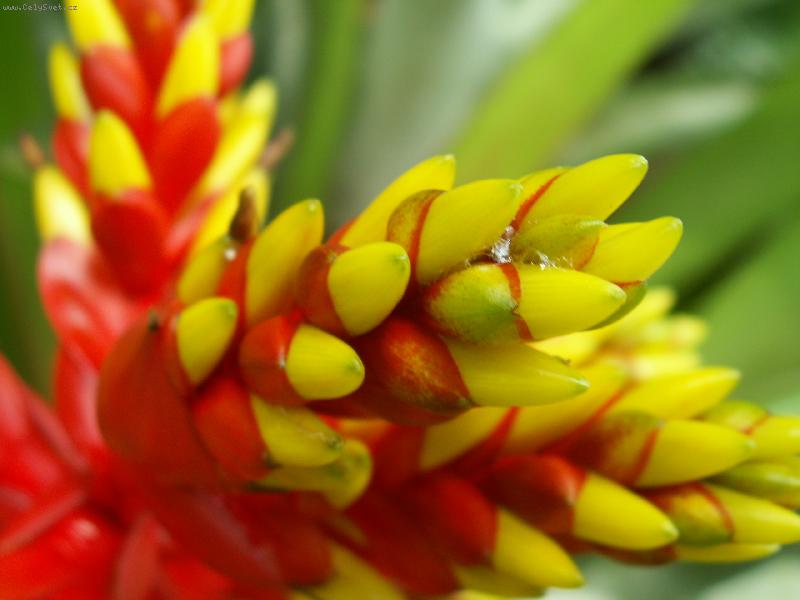 Foto: Barvi�ky-...s expozice FataMorgana