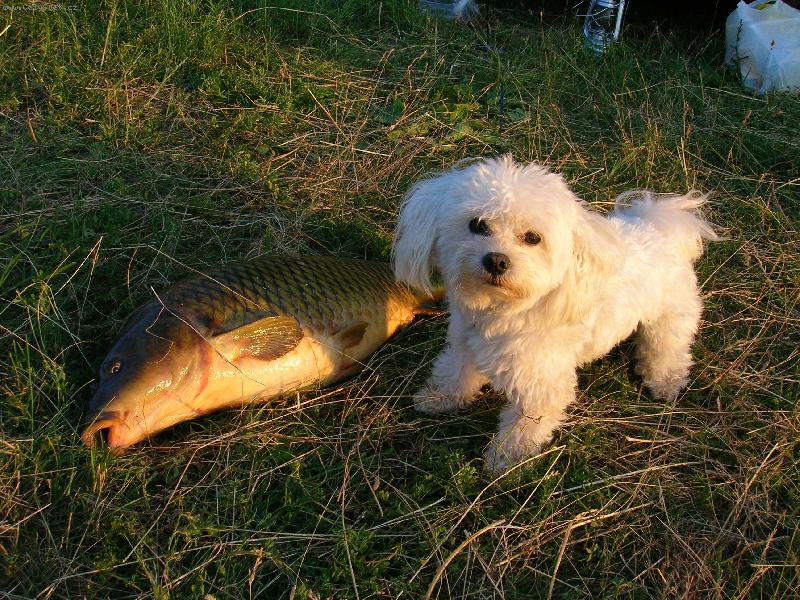 Foto: Ja m�m 3kg,kap��k 9kg...