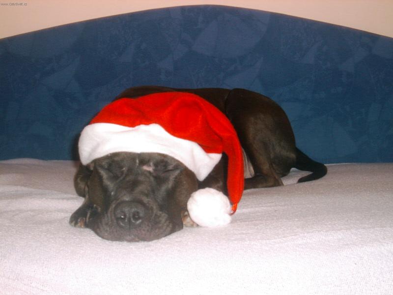 Foto: naomi-neru�it snim o darcich