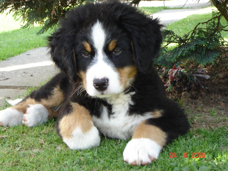 Foto: Kde zase jsou...:)