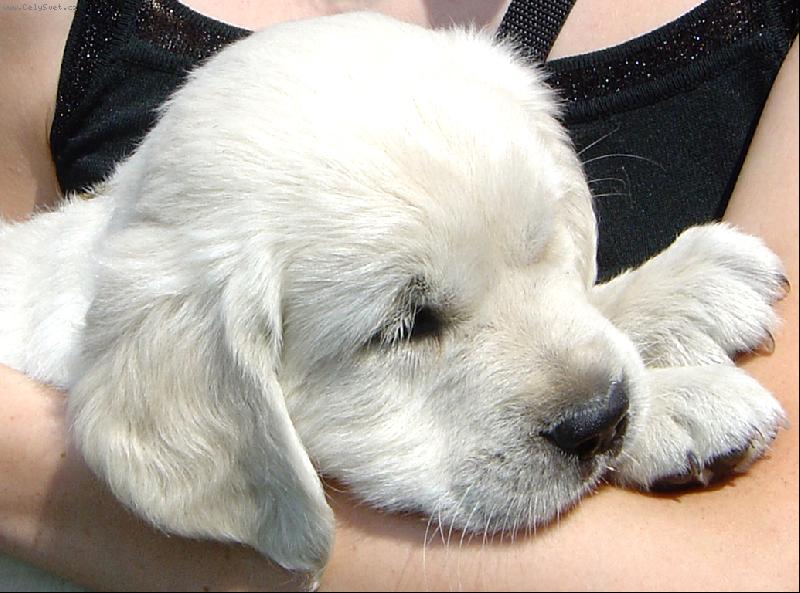 Foto: Bronwynka-Tady je mi nejl�p :o)