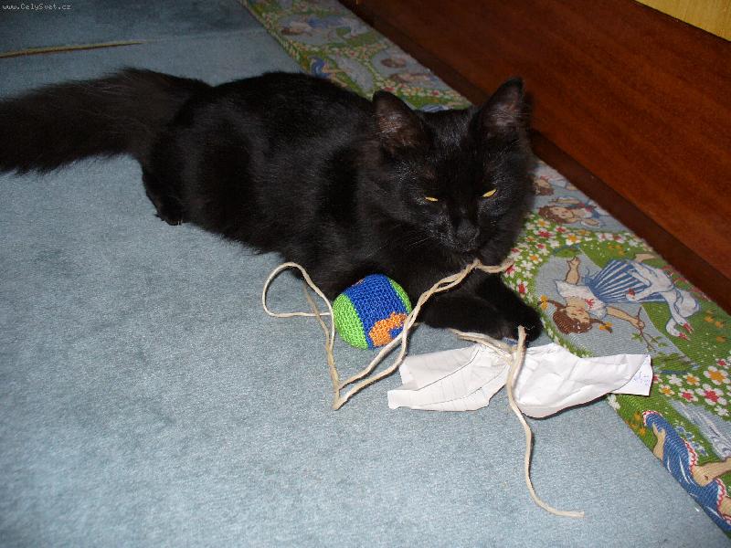 Foto: Mike�ek-A te� jdu sp�t !