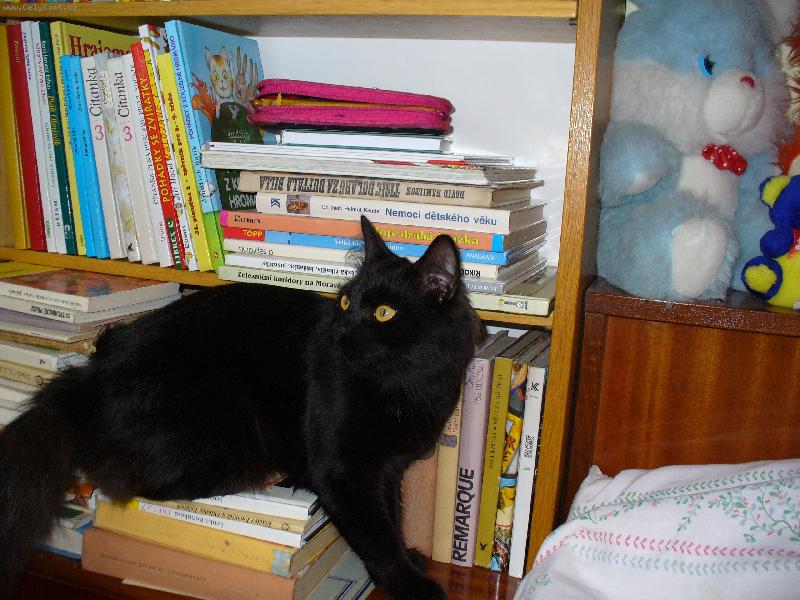 Foto: Mike� - �ten��em-P�j��m si Remarqua