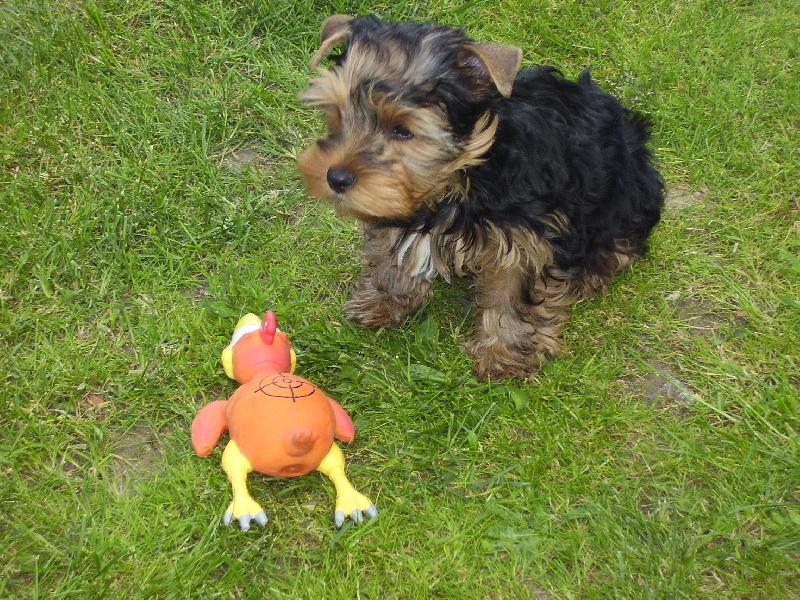 Foto: Bert��ek-Bert��ek